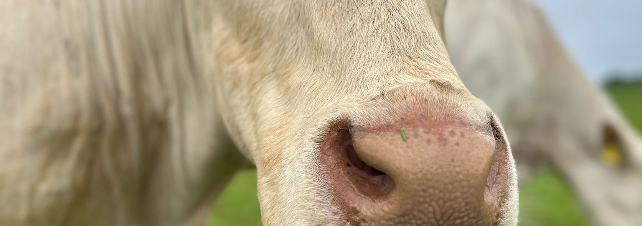 Bahnhof Engeln Speisekarte